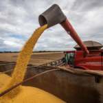 Perdas com Prêmio Negativo Para os Grãos Podem Chegar a R$ 41 Bilhões!