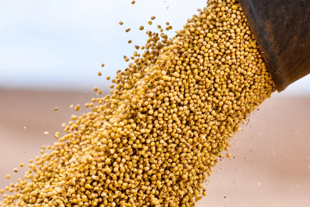 Piracanjuba recebe mais R$150 mi do BNDES para produção de biogás