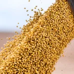 Piracanjuba recebe mais R$150 mi do BNDES para produção de biogás