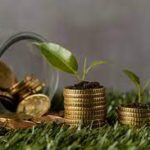 A Nova Economia Verde: Sustentabilidade e Crescimento Econômico